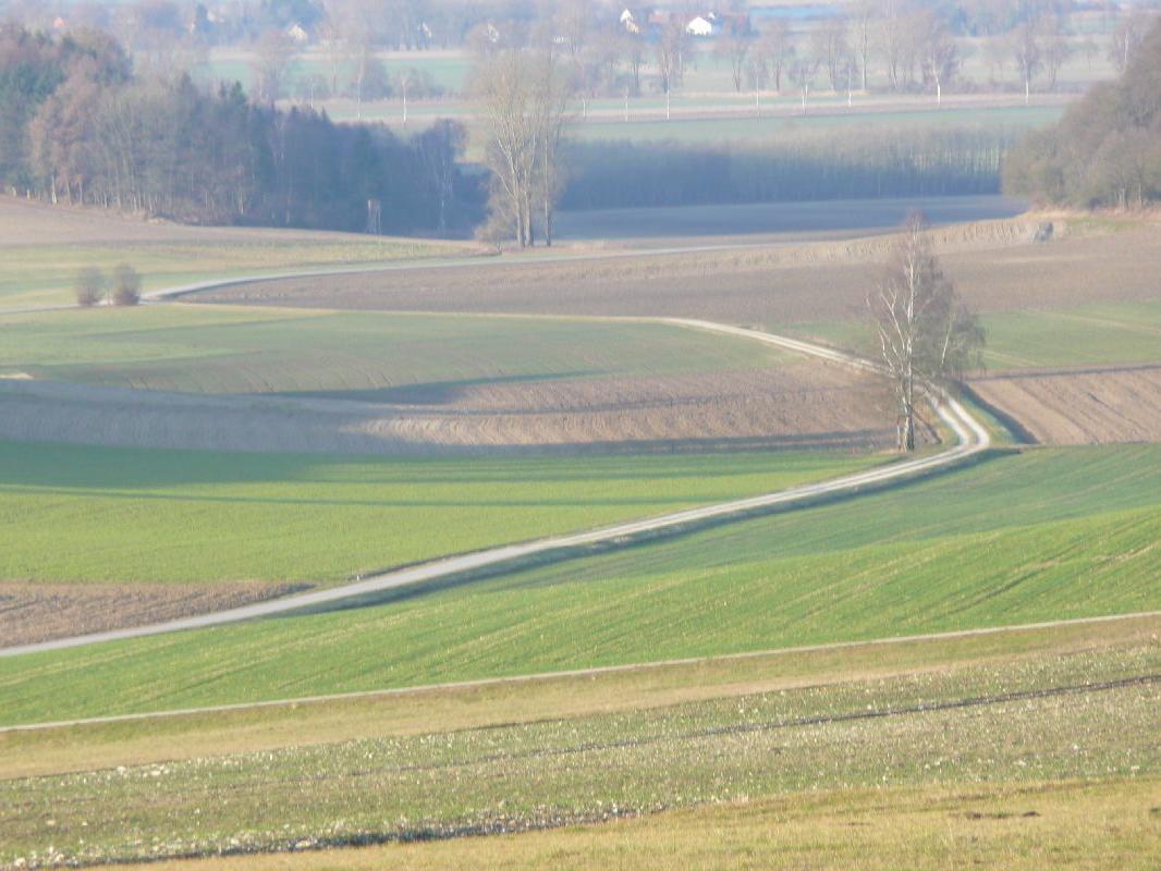 ansichten-31