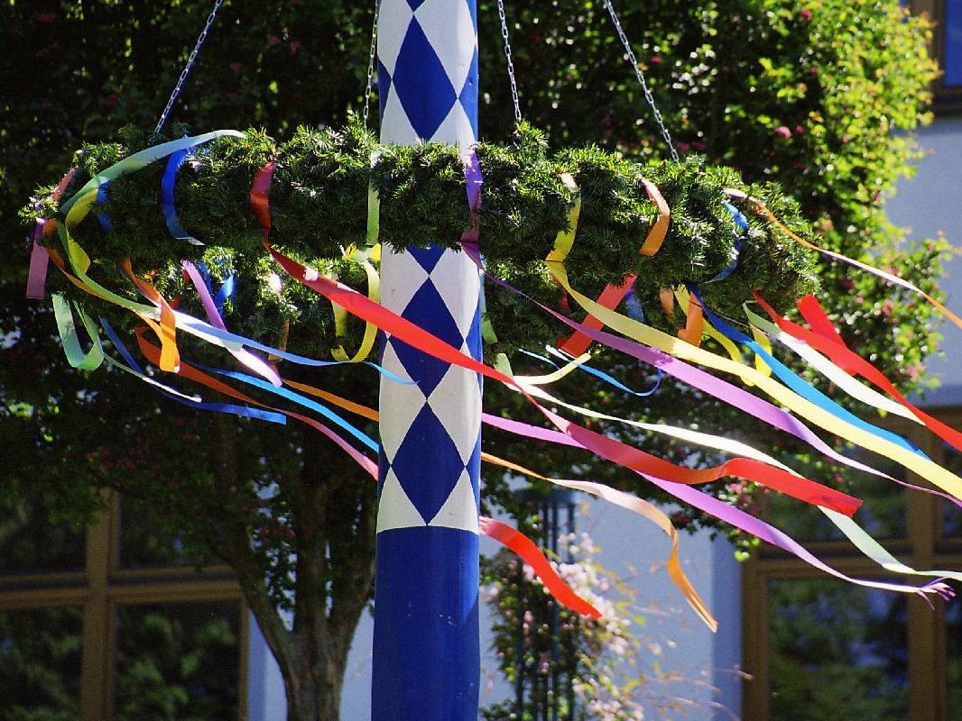 maibaum-1