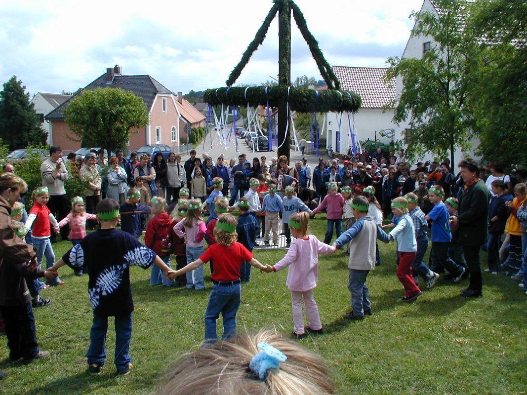 maibaum-5