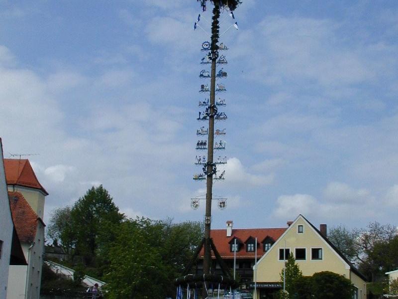 maibaum-2