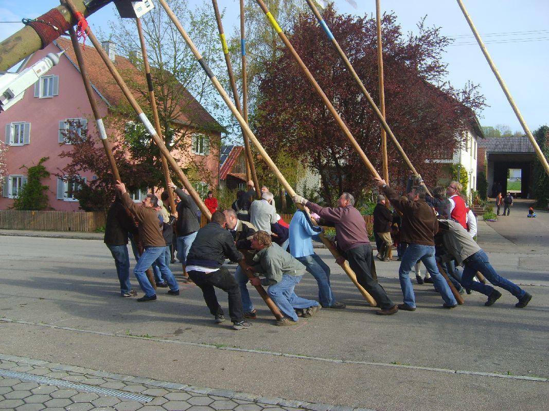 maibaum-aufstellen