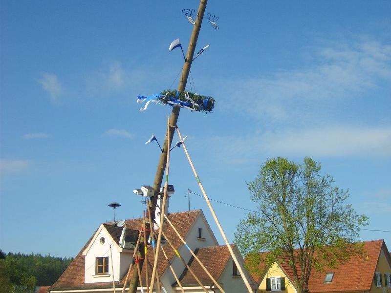 maibaum