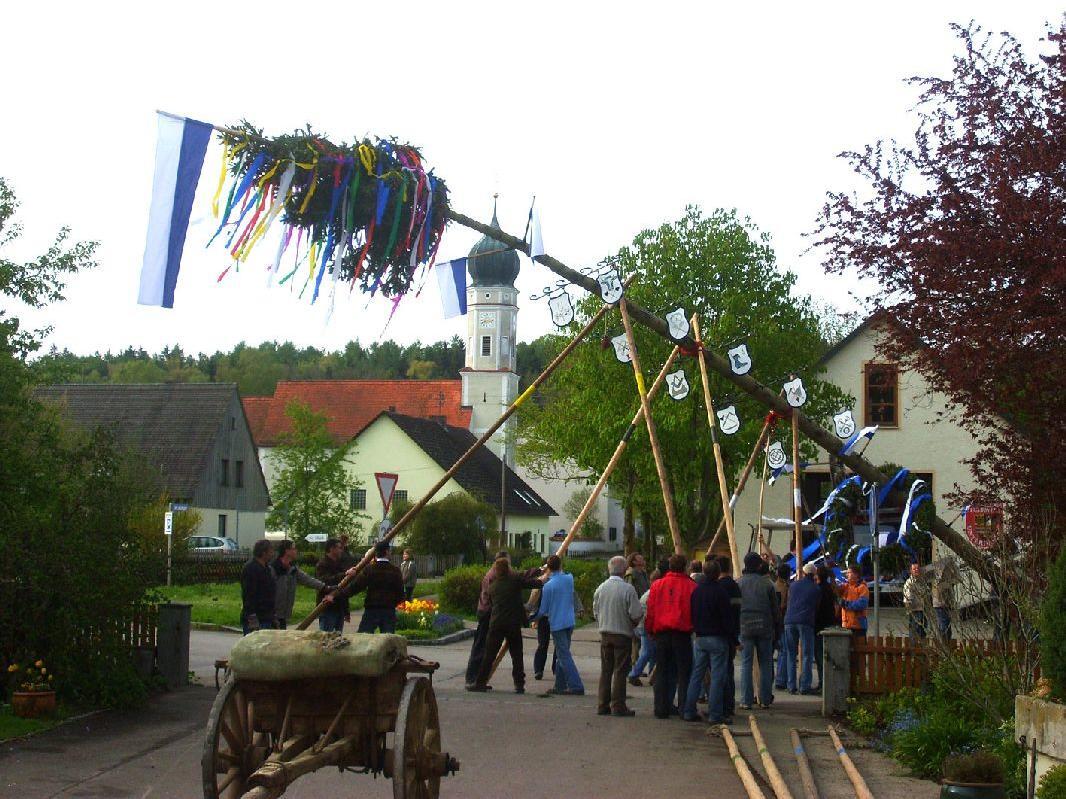maibaum-1