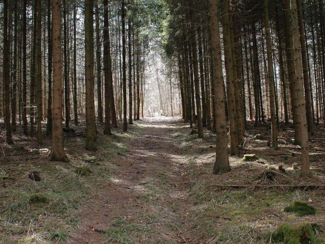 wanderwege-13