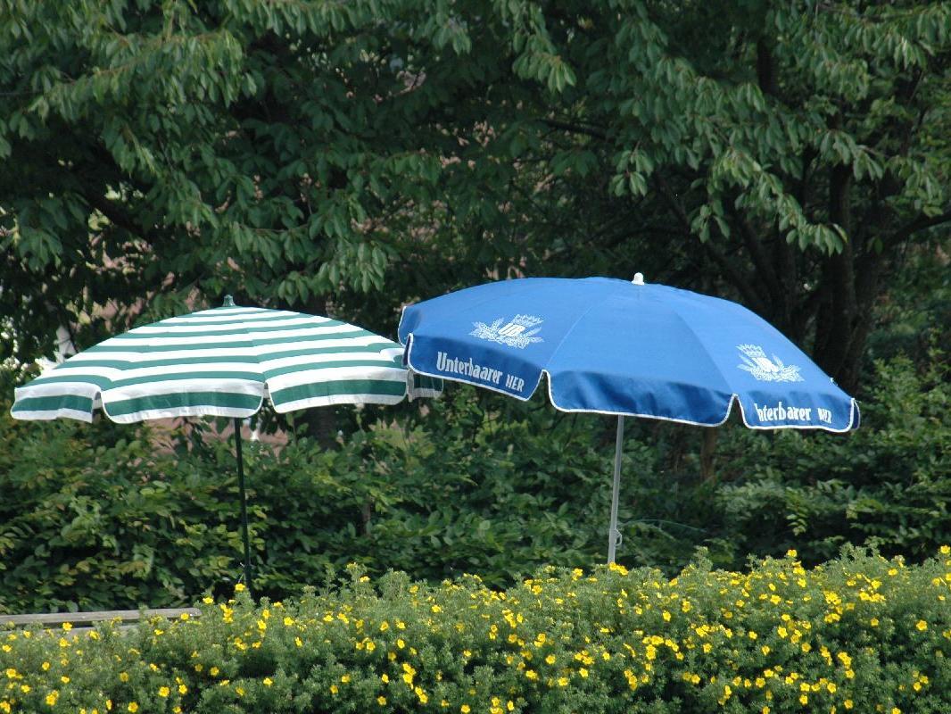 waldbad_bilder-2
