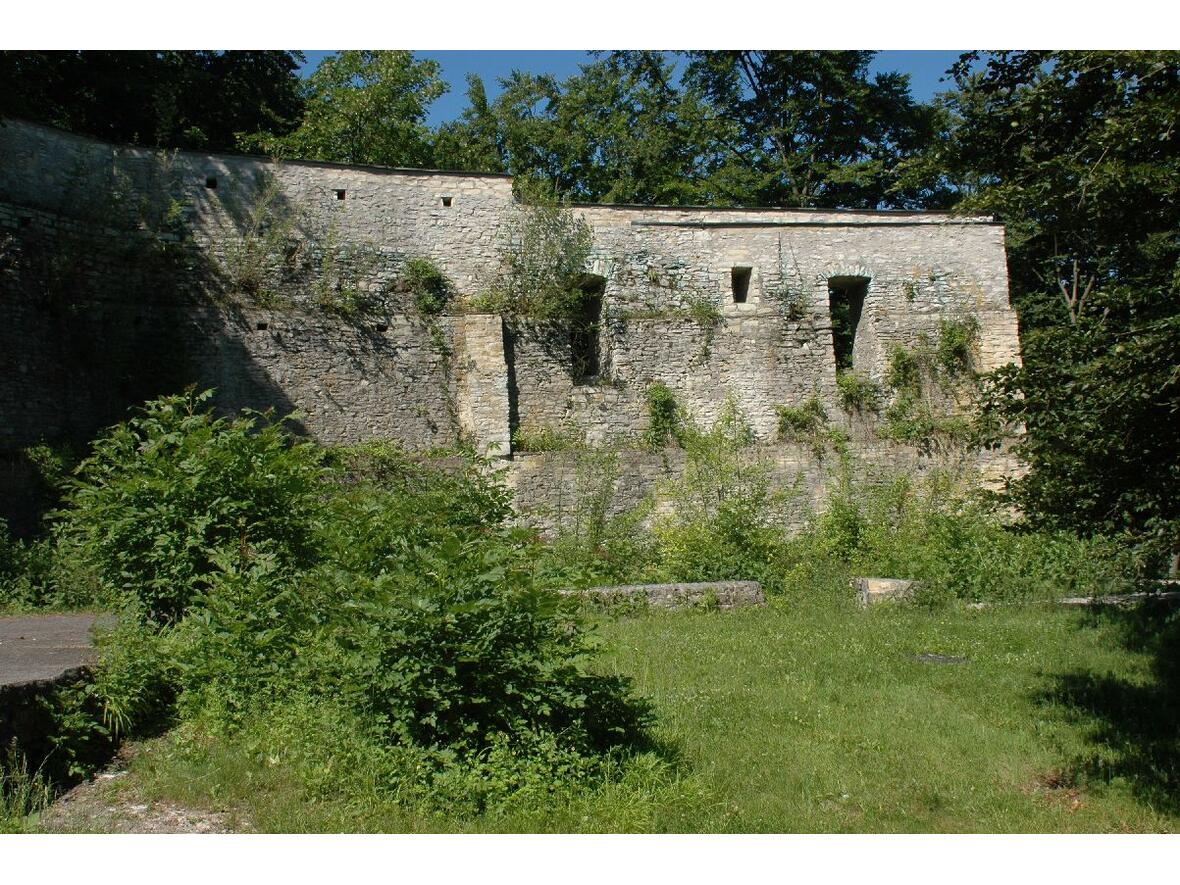 ruine-alte-burg