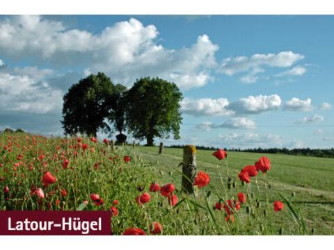 latour_huegel