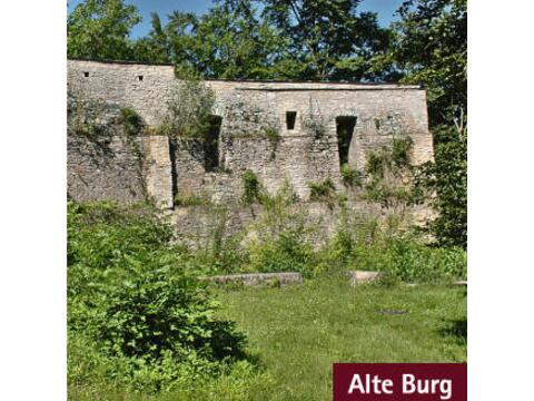 bild_alte_burg
